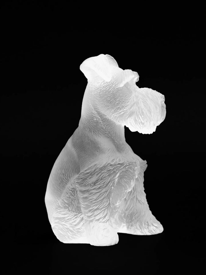 Schnauzer