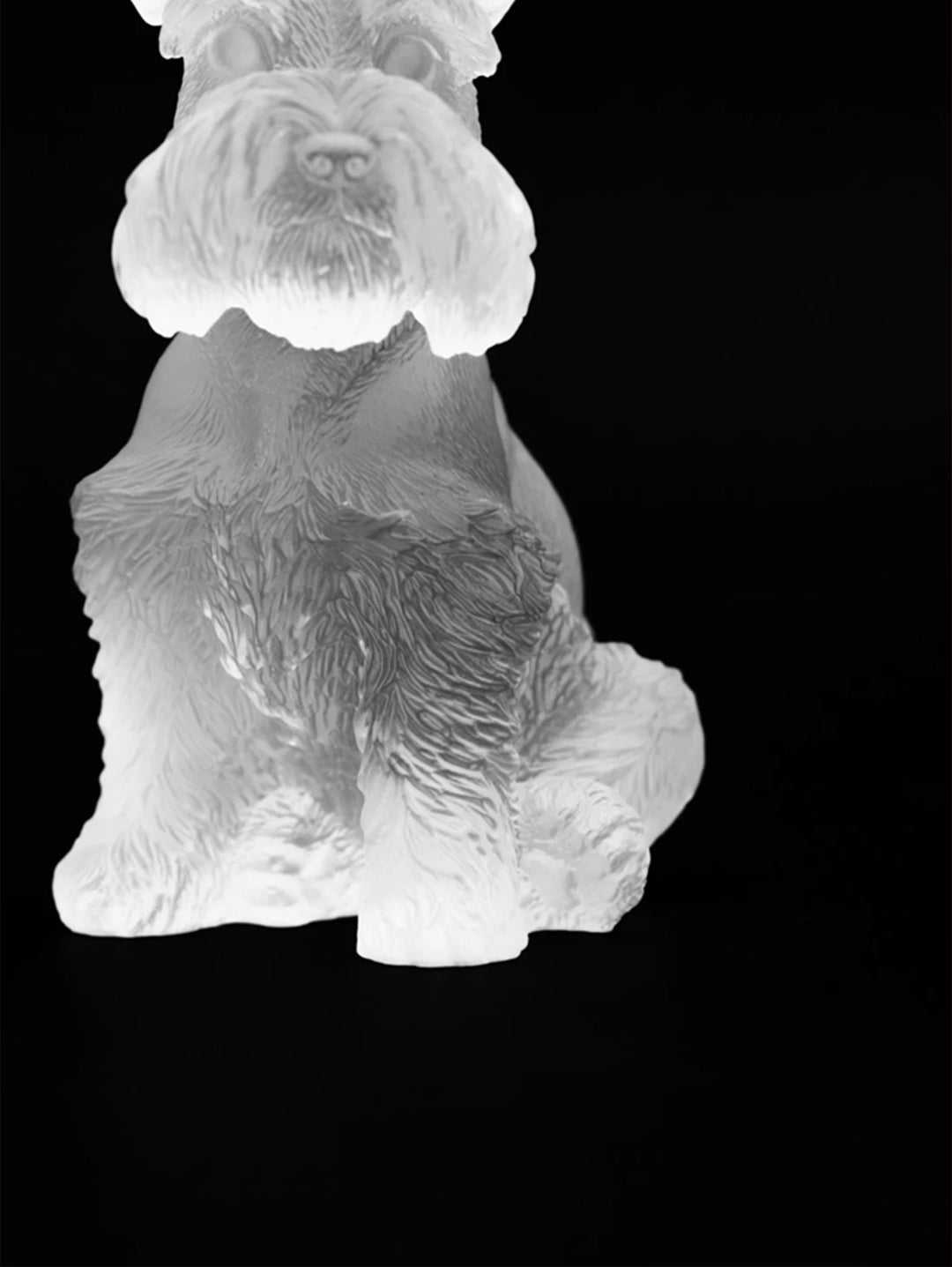 Schnauzer