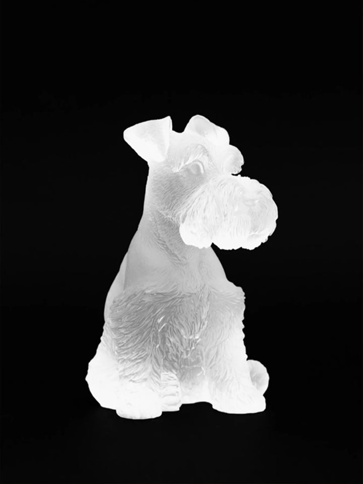 Schnauzer