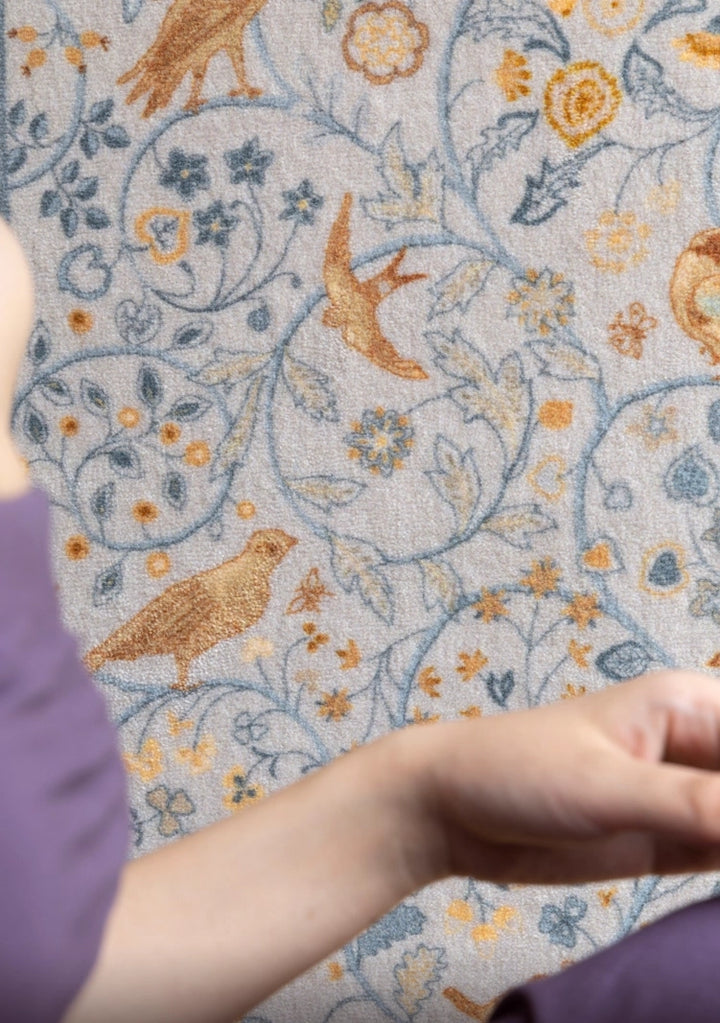 תמונה Willow Air