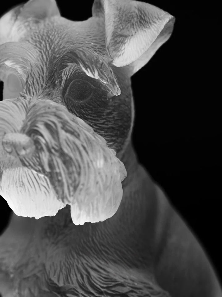 Schnauzer