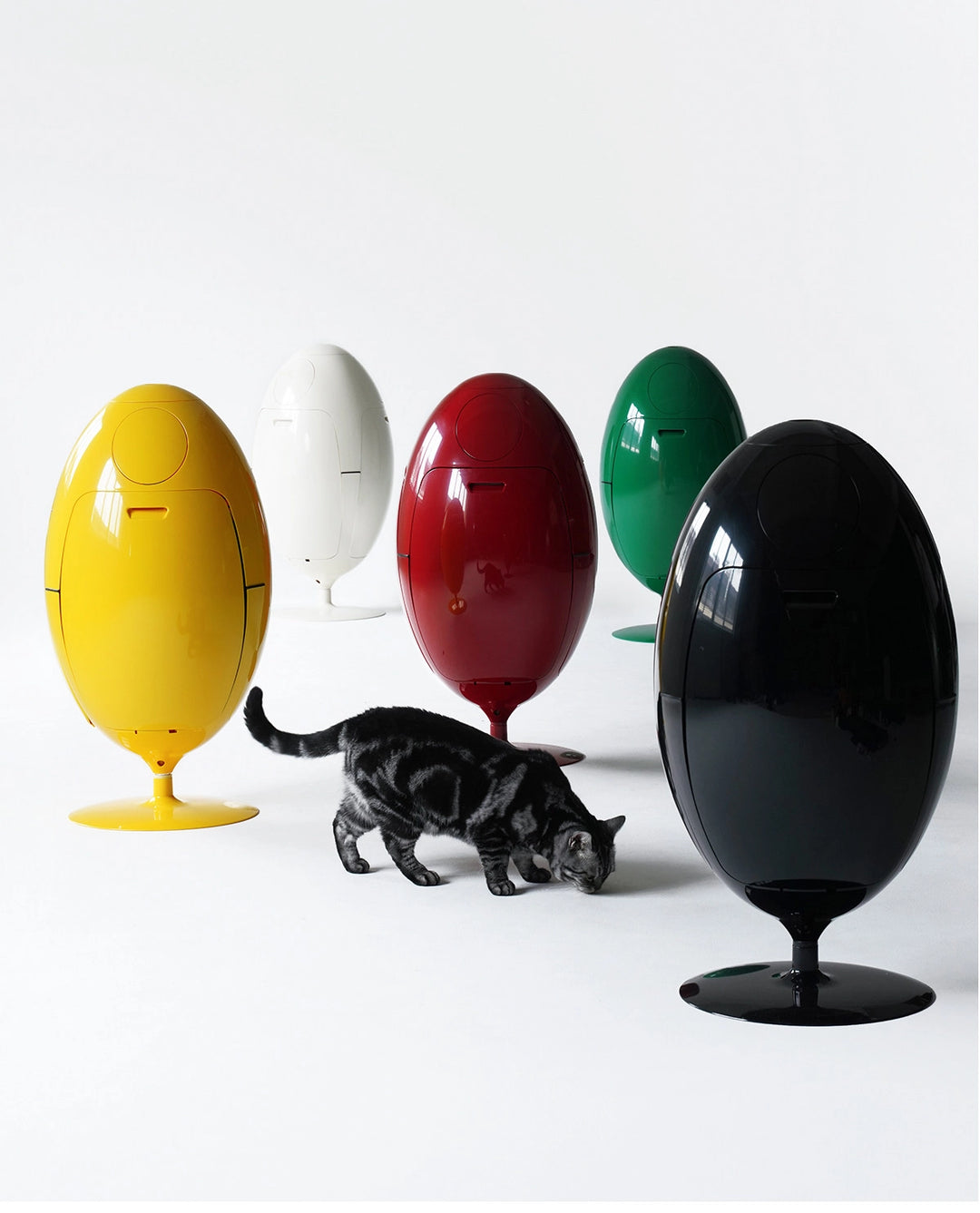 Egg Bin