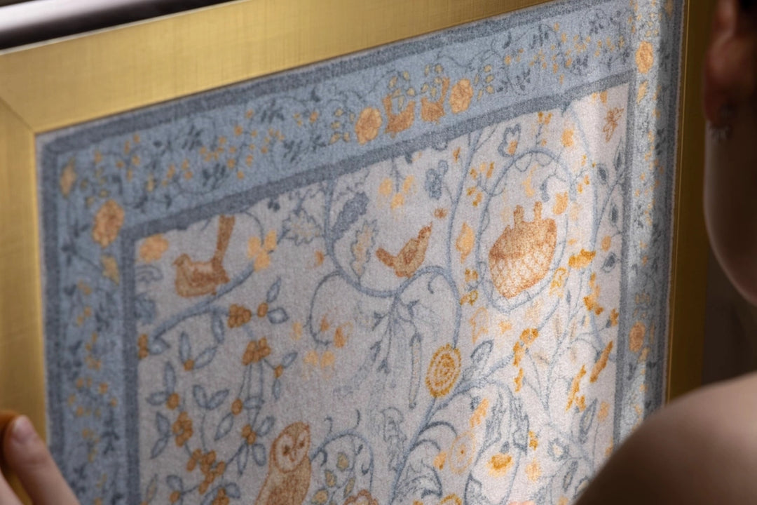 תמונה Willow Air