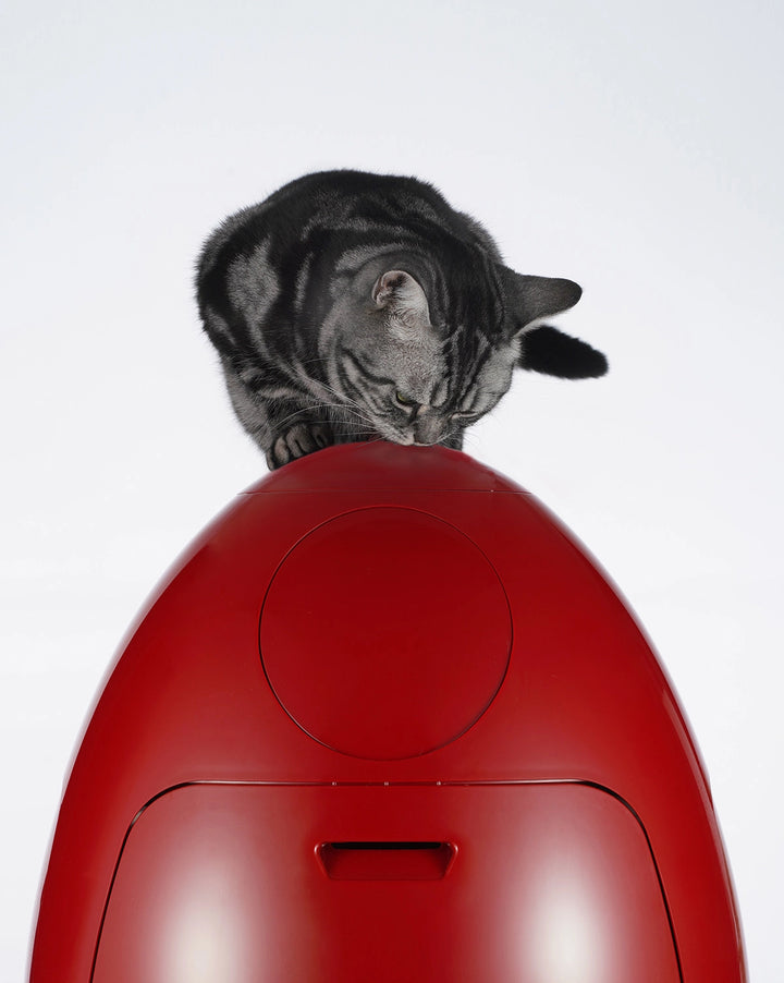 Egg Bin