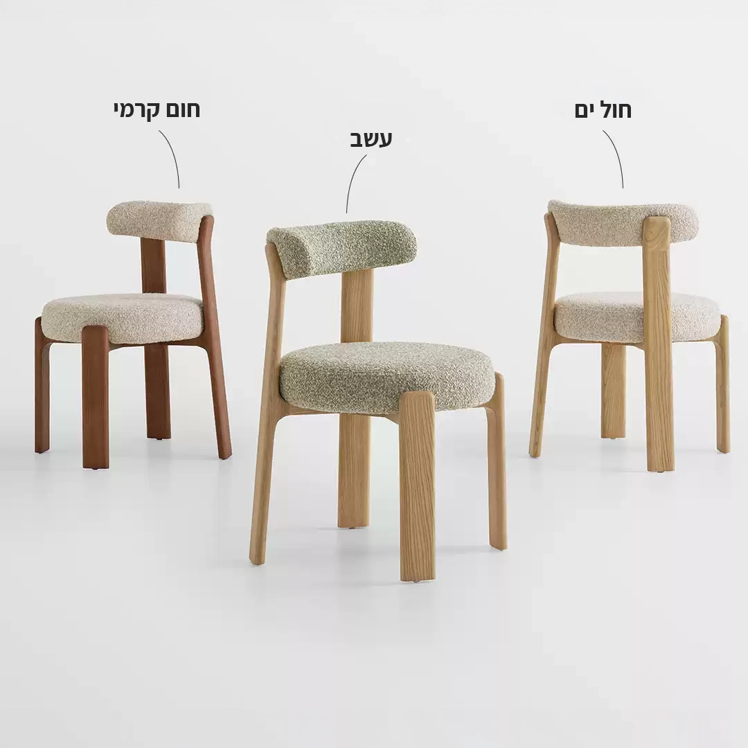 כיסא Rottie