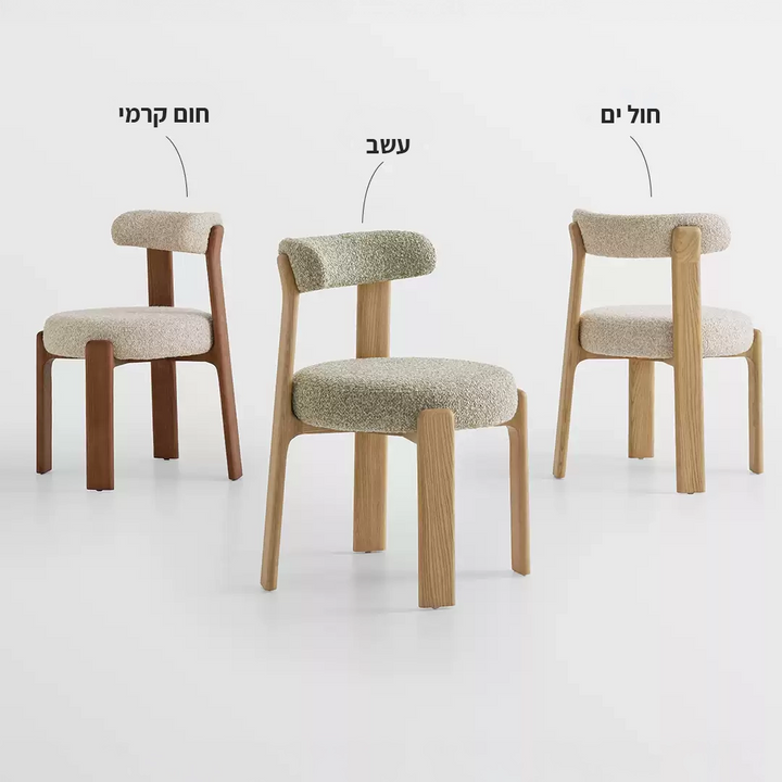 כיסא Rottie