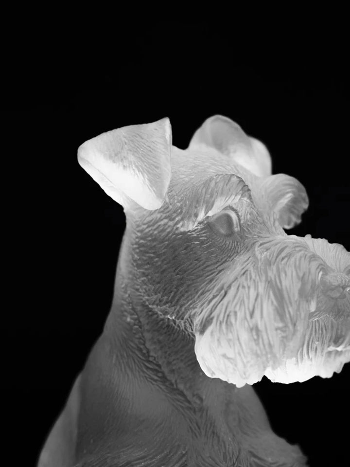 Schnauzer