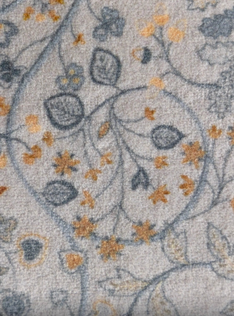 תמונה Willow Air