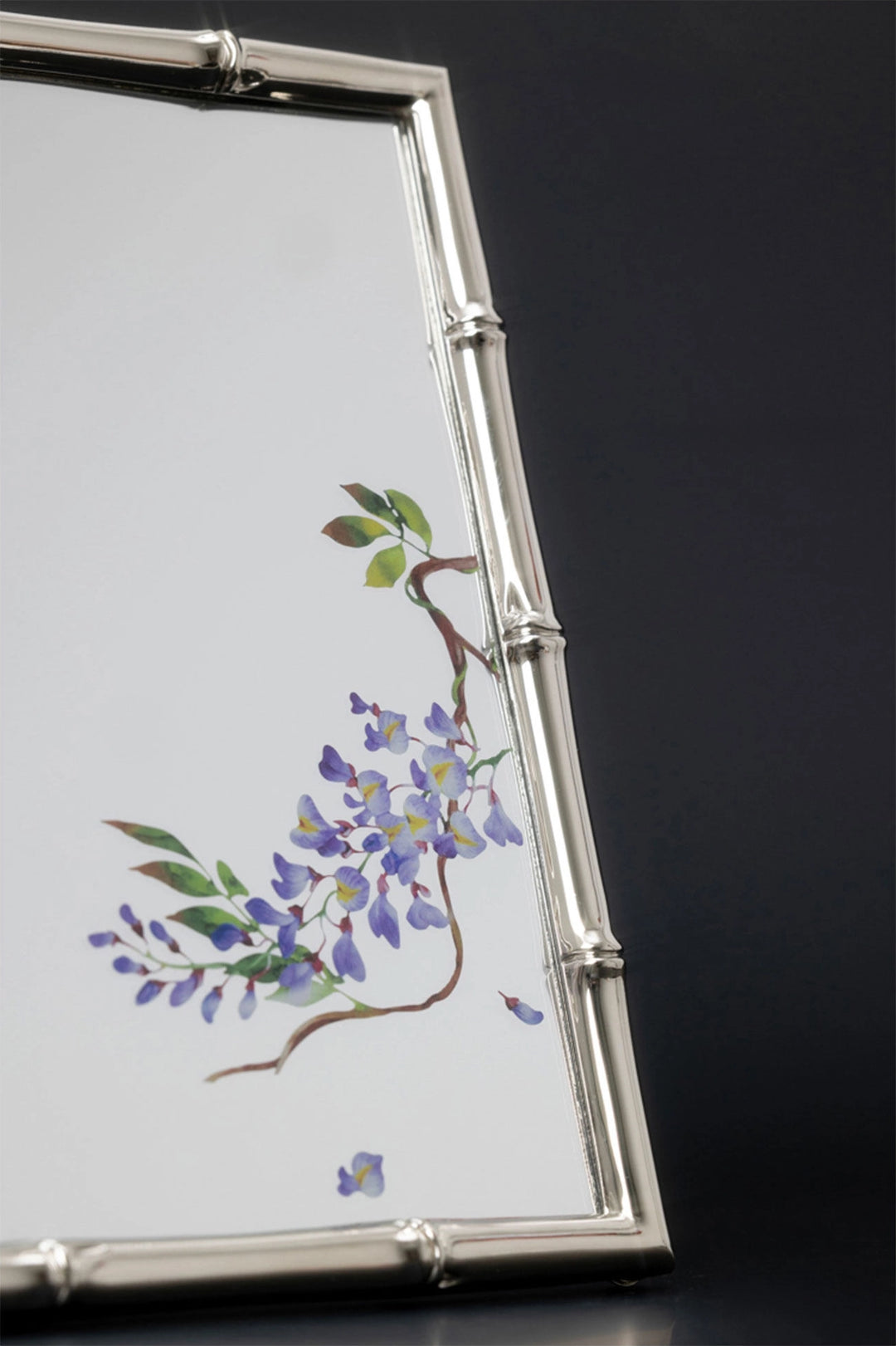 מראה Glycine