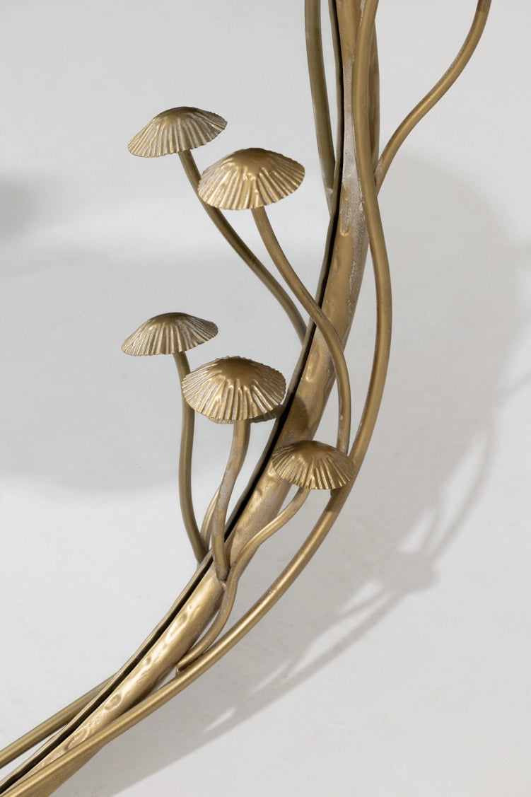 מראה Chanterelle