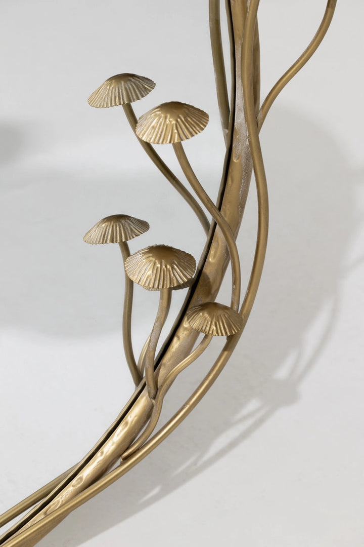 מראה Chanterelle