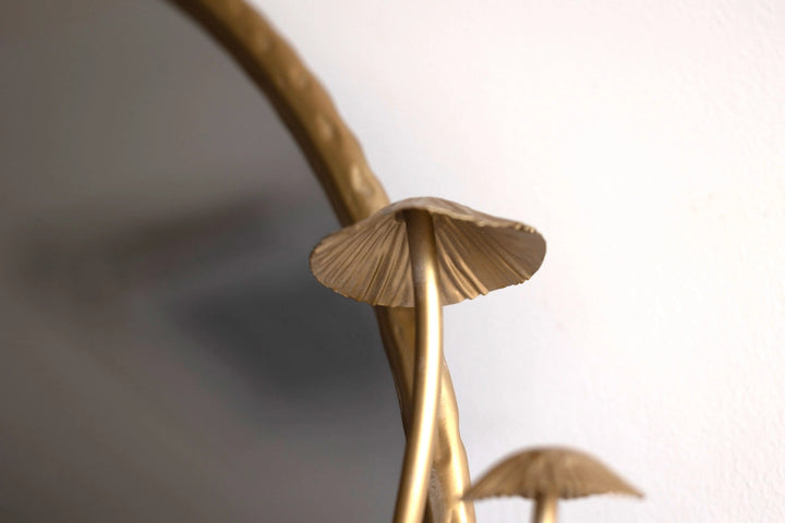 מראה Chanterelle