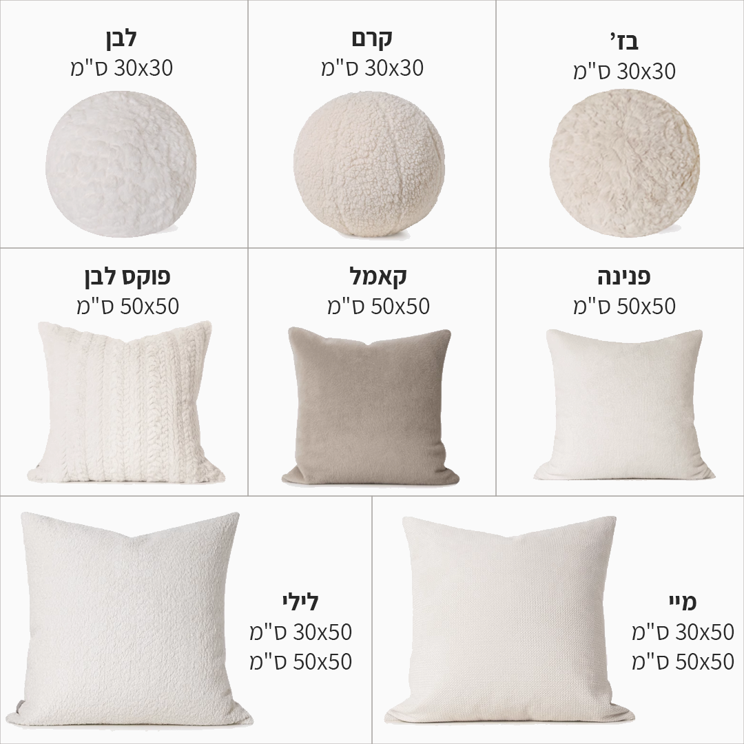 אפשרויות.png