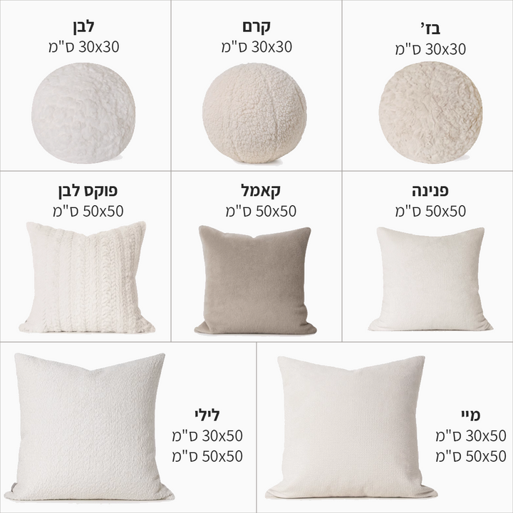 אפשרויות.png